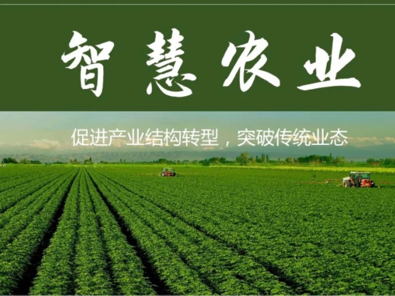 智慧农业：引领农业未来的新引擎